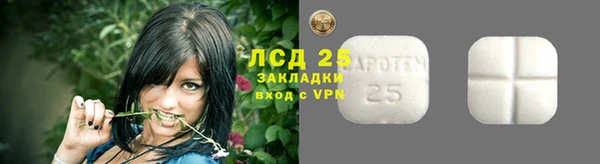 ГАЛЛЮЦИНОГЕННЫЕ ГРИБЫ Алзамай