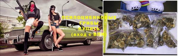 ГАЛЛЮЦИНОГЕННЫЕ ГРИБЫ Алзамай