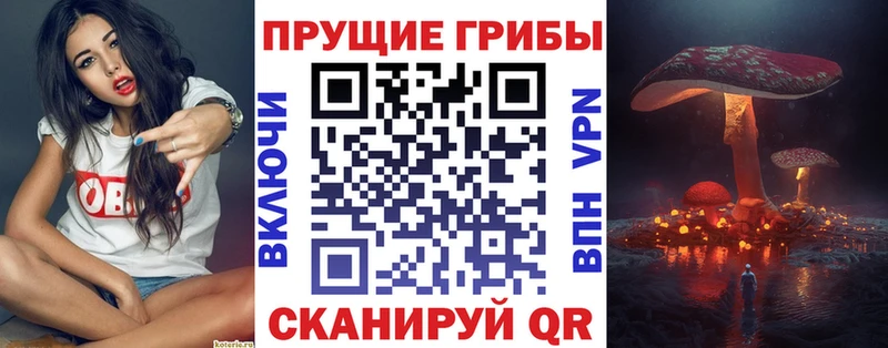Галлюциногенные грибы ЛСД  ОМГ ОМГ ссылка  Питкяранта 